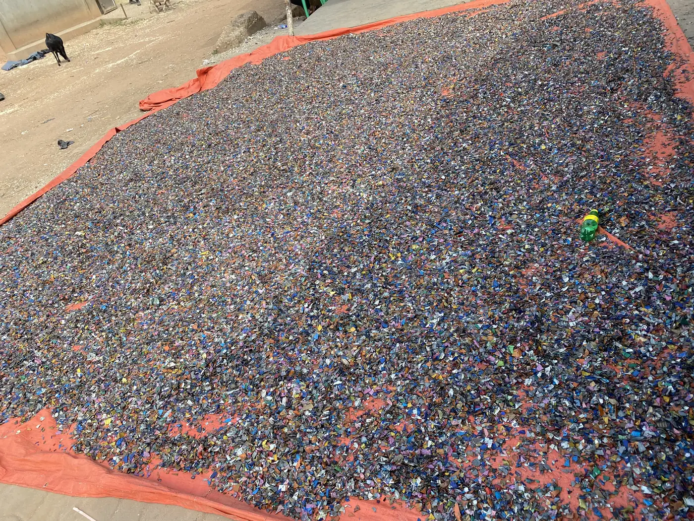 Recycled plastic flakes drying in the yard at Luther Plastics